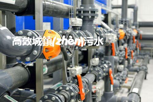 “高效城鎮(zhèn)污水處理流程，守護(hù)碧水藍(lán)天新篇章”